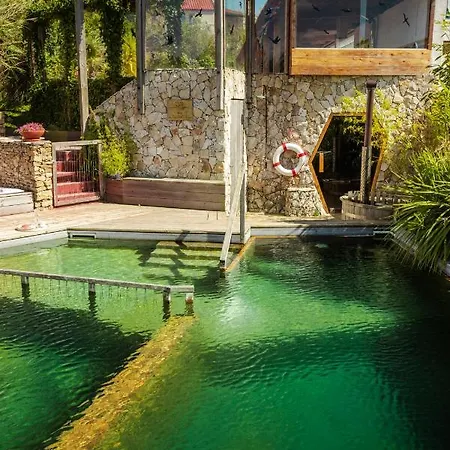 Bed & Breakfast Cavalo De Madeira Arelho
