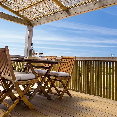 Cavalo De Madeira Arelho