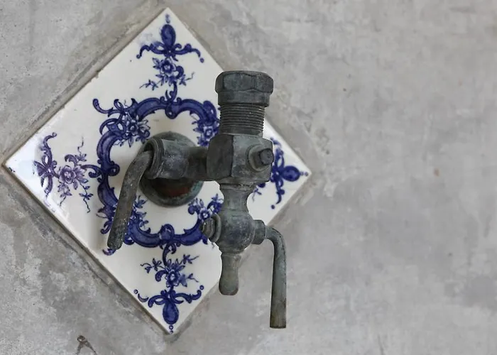 Cavalo De Madeira לינה וארוחת בוקר Arelho